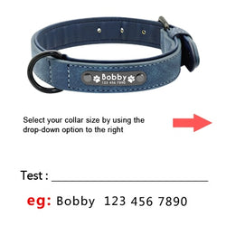 Personalized Pet Dog Tag Collar Leash