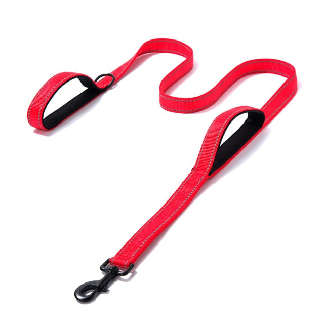 Outdoor Travel Dog Training Chain