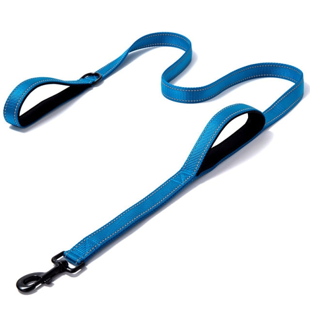 Outdoor Travel Dog Training Chain