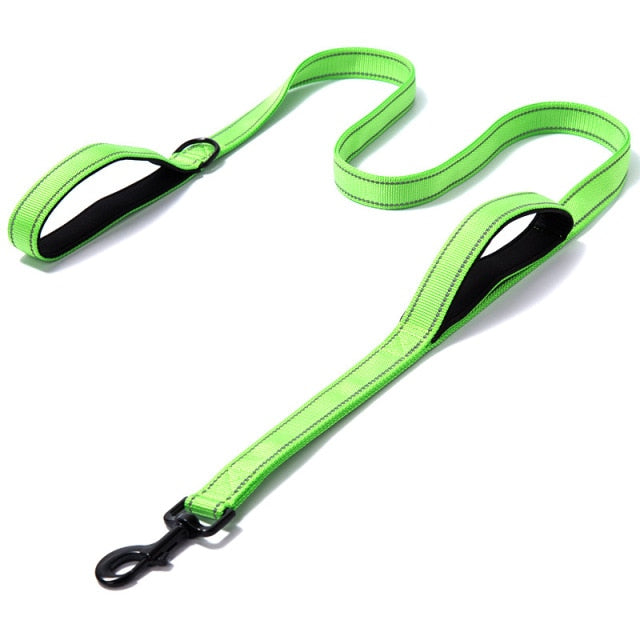 Outdoor Travel Dog Training Chain