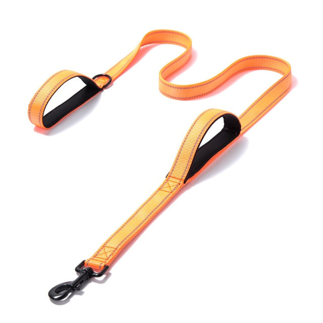 Outdoor Travel Dog Training Chain